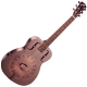 Recording King  MG 10 antique metal