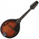 Recording King  120 Mandoline sunburst
