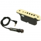 L.R. Baggs  M1Actif
